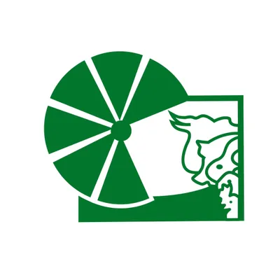molinortesac.com's icon