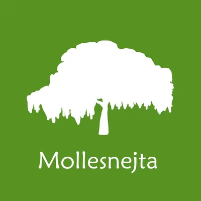 mollesnejta.org's icon