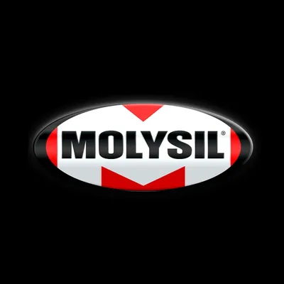 molysil.com's icon