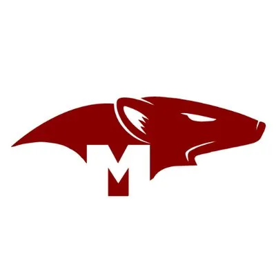 mongoosejs.com's icon
