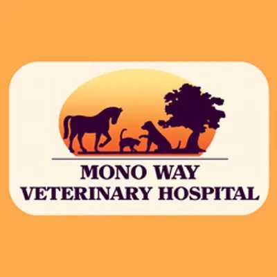 monowayvet.com's icon