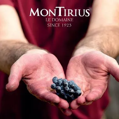 montirius.com's icon