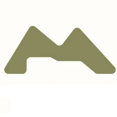 moobi.site's icon