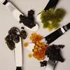 morecaviar.com's icon