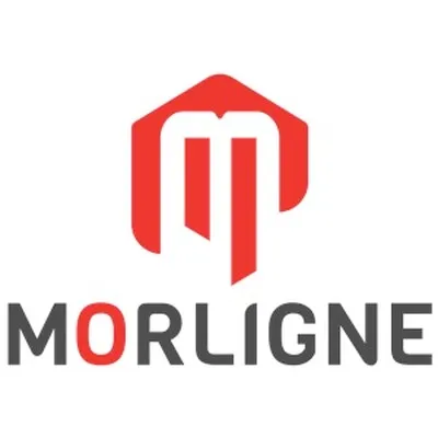 morlignegroup.cn's icon