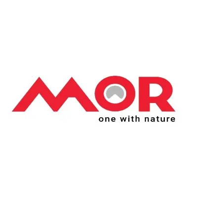 morreal.com's icon