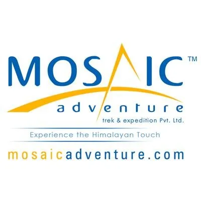 mosaicadventure.com's icon