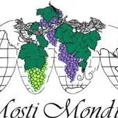 mostimondiale.com's icon