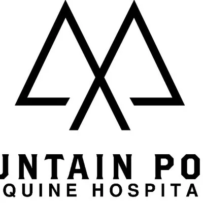 mountainpointequine.com's icon