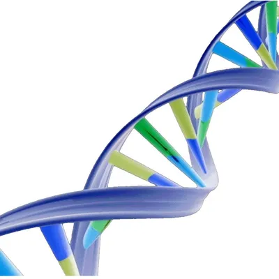 mountainstatesgenetics.org's icon