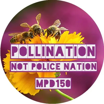 mpd150.com's icon