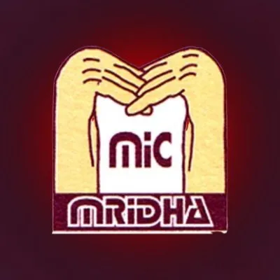 mridhagroup.com's icon