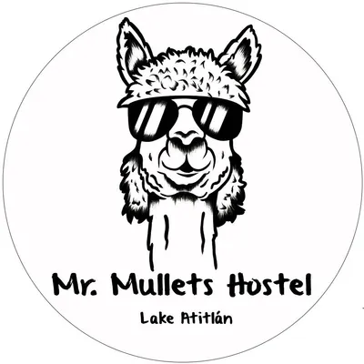 mrmulletshostel.com's icon