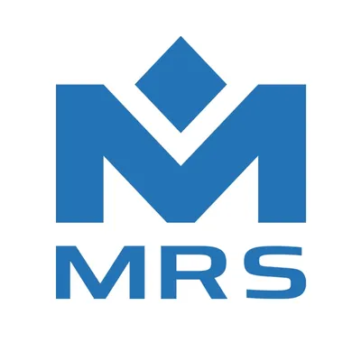 mrs-electronic.com's icon