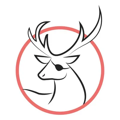 mrsonder.com's icon