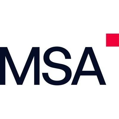 msadvisory.com's icon