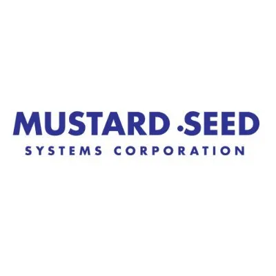 mseedsystems.com's icon