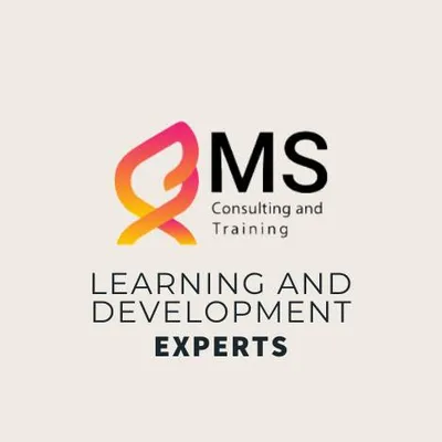 msfinconsult.com's icon