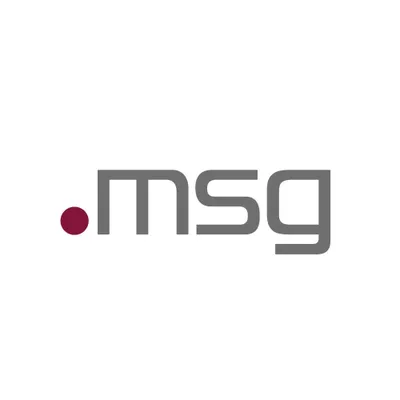 msg-systems.ro's icon