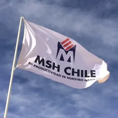 mshchile.cl's icon
