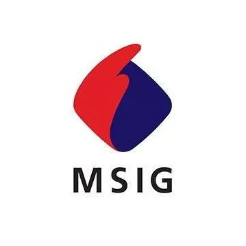 msig.com.hk's icon