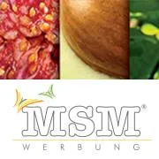 msm.de's icon