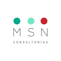 msnconsultorias.com's icon