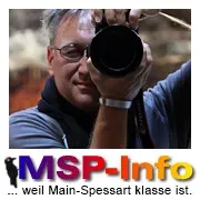 msp.info's icon
