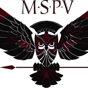 mspv.com's icon