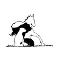 msrvet.com's icon