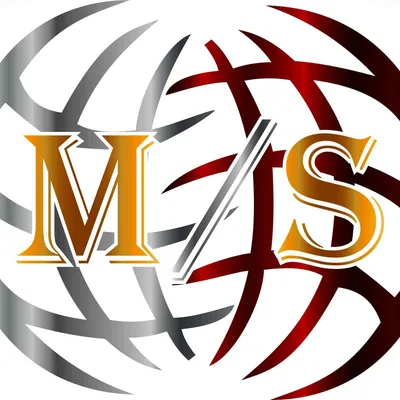 mstransfers.gr's icon
