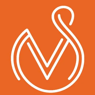 msvclinic.com's icon