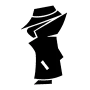 msvincognito.nl's icon