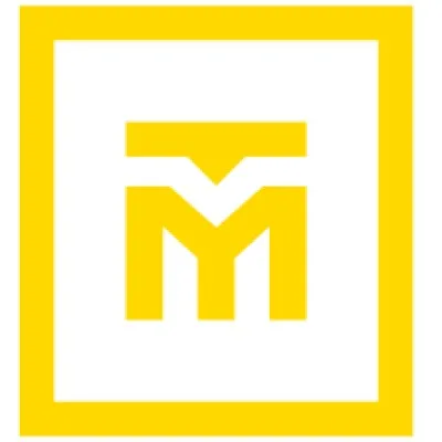 mtgroup.lt's icon