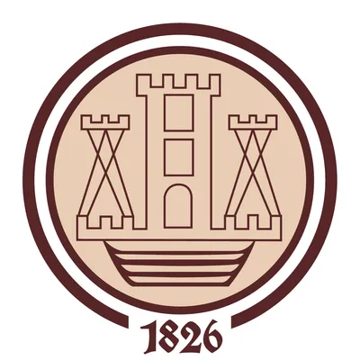 mtk.lt's icon