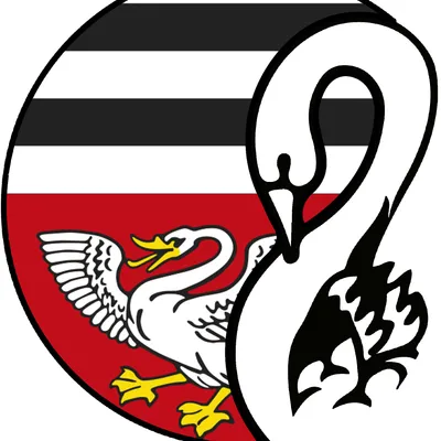 muenster-hessen.de's icon