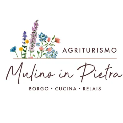 mulinoinpietra.com's icon