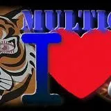 multialarmse.hu's icon