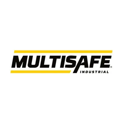 multisafe.mx's icon