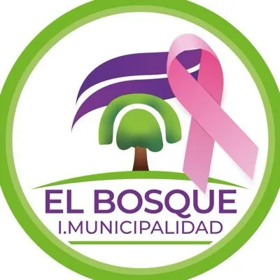 municipalidadelbosque.cl's icon