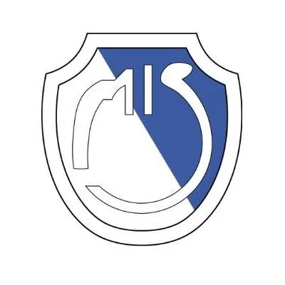 murtiindahsentosa.com's icon