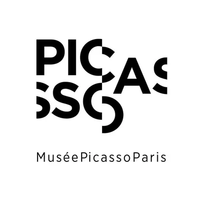 museepicassoparis.fr's icon