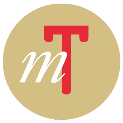 museotorino.it's icon