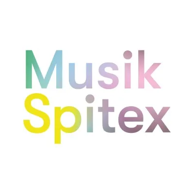 musikspitex.ch's icon