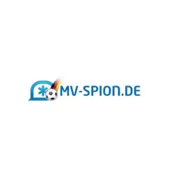 mv-spion.de's icon