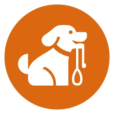 mydog365.de's icon
