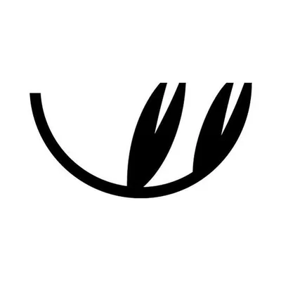 myllarin.fi's icon
