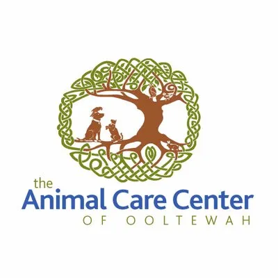 myooltewahvet.com's icon