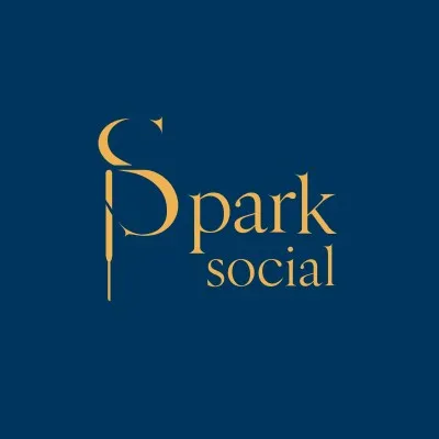 mysparksocial.org's icon