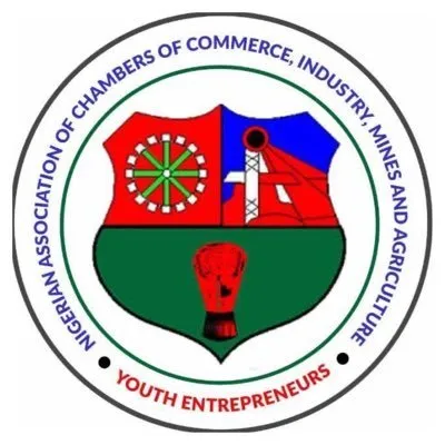 naccimayouth.com.ng's icon